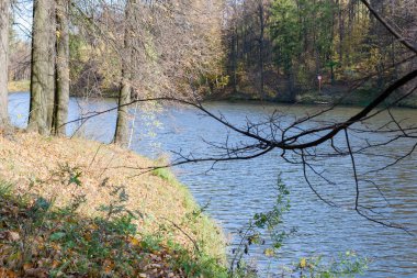 Güneşli bir sonbahar günde bir şehir göl'manzara