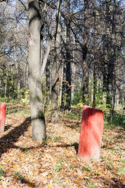 Şehir Parkı güneşli bir sonbahar günde manzara