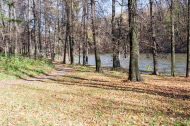 Güneşli bir sonbahar günde bir şehir göl'manzara