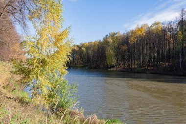 Güneşli bir sonbahar günde bir şehir göl'manzara