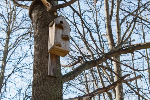 Birdhouse on a tree in the park in sunny spring day — Stok Foto