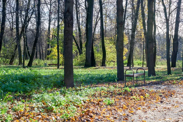 Paesaggio nel parco cittadino nella soleggiata giornata autunnale — Foto Stock