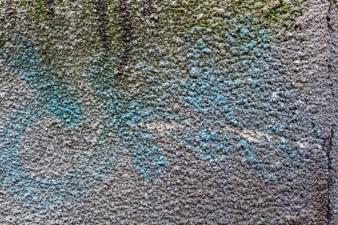 Spot renkleri mavi boya ve yeşil yosun ile doku beton duvar. Arka plan