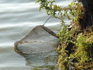 Metal balık tank suya indirdi