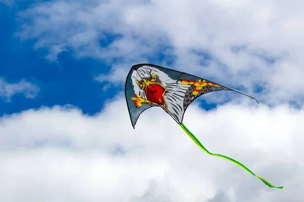 Flying kite on a blue sky background