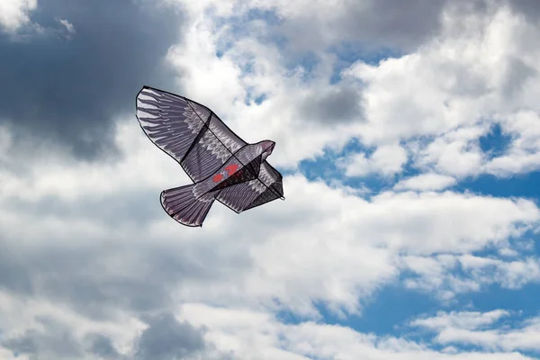 青い空を背景に凧揚げ — ストック写真