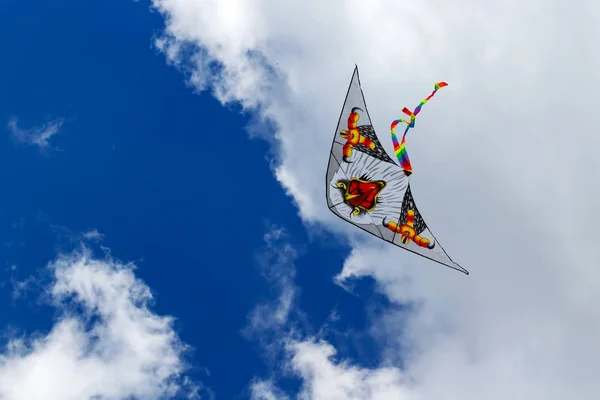 Flying kite on a blue sky background — Stock Photo, Image