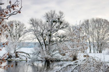 Bir bulutlu kış günü kar yağışı sonra nehir banka. Kış manzarası