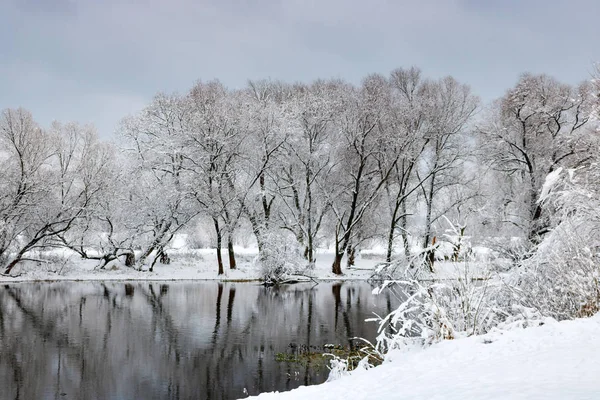 River Bank Snowfall Cloudy Winter Day Winter Landscape — Stock Photo, Image