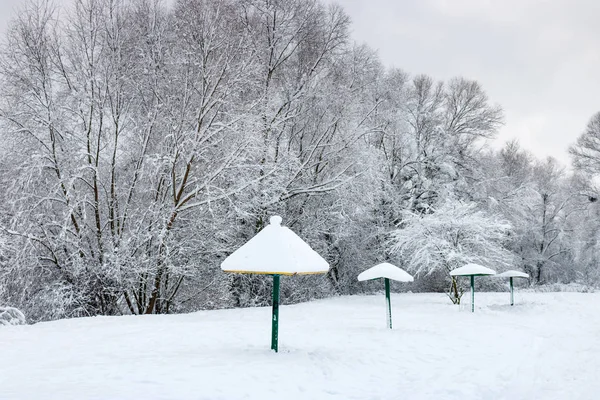 Spiaggia Innevata Dopo Una Nevicata Una Giornata Invernale Nuvolosa Paesaggio — Foto Stock