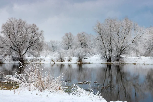 River Bank Snowfall Cloudy Winter Day Winter Landscape Stock Picture