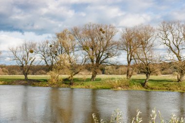Sonbahar günü küçük bir nehir kıyısında. Sonbahar manzara