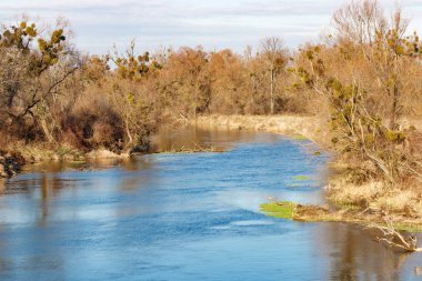 Sonbahar günü küçük bir nehir kıyısında. Sonbahar manzara