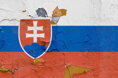 Yıpranmış bir beton duvara boyalı Slovakya bayrağı