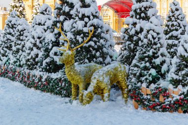 Moskova, Rusya - 01 Şubat 2018: Karla kaplı Noel ağaçları Manezhnaya kare üzerinde. Moskova'da kış