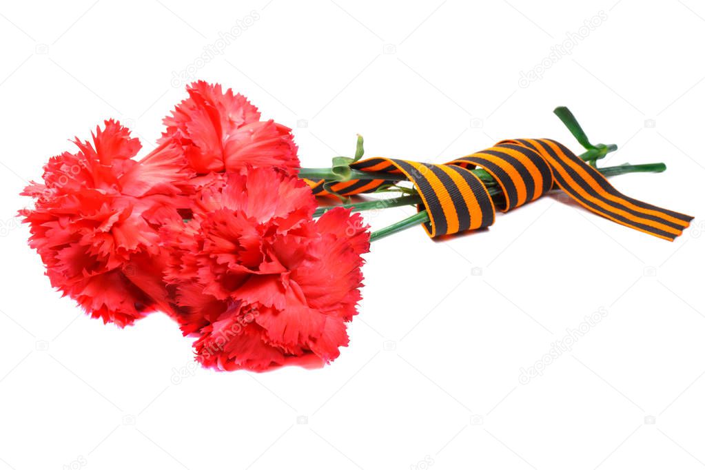 Red carnations with St. George's ribbon isolated on white background. May 9 day of victory in the great Patriotic war of 1941-1945