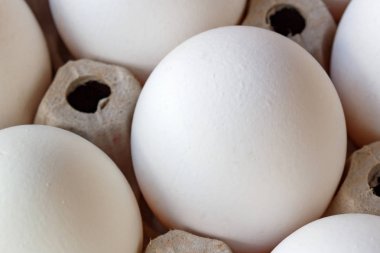 Kağıt tepsisi closeup beyaz tavuk yumurta