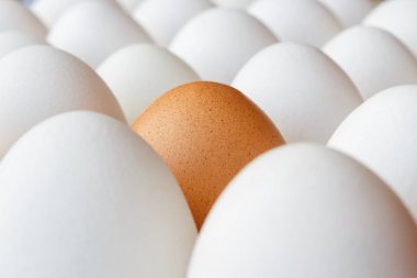 Kahverengi tavuk yumurta beyaz yumurta karton kaset'arasında