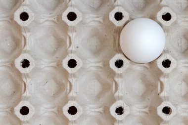 Bir beyaz tavuk yumurta ile boş karton tepsi. Üstten Görünüm