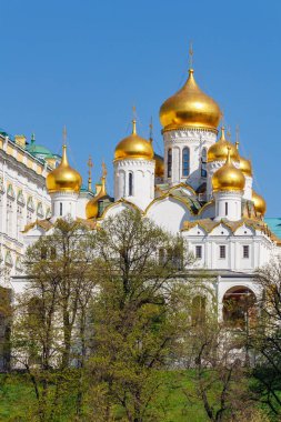 Moskova, Rusya - 01 Mayıs 2019: Yeşil ağaçlara ve mavi gökyüzüne karşı Annunciation Katedrali. Moskova Kremlin güneşli bahar sabahında