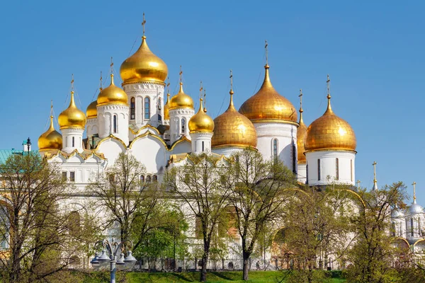 Moscú, Rusia - 01 de mayo de 2019: Vista de iglesias ortodoxas con paredes blancas del Kremlin de Moscú contra árboles verdes en la soleada mañana de primavera — Foto de Stock