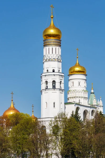 Moscú, Rusia - 01 de mayo de 2019: Domos dorados de las iglesias ortodoxas del Kremlin de Moscú contra el cielo azul y los árboles verdes en la soleada mañana de primavera — Foto de Stock