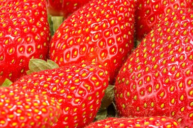 Olgun kırmızı çilekler, yeşil yapraklar ve parlak sarı tohumlar.