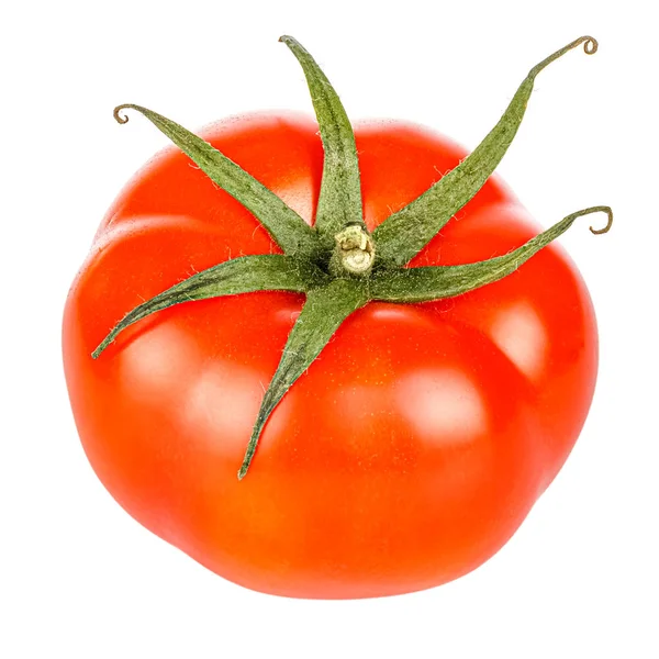 Rijp heldere rode tomaat met groene bladeren geïsoleerd op een witte achtergrond close-up — Stockfoto