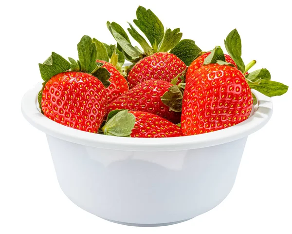Reife rote Erdbeeren mit grünen Blättern in einer weißen Einweg-Schüssel aus biologisch abbaubaren Materialien isoliert auf weißem Hintergrund — Stockfoto