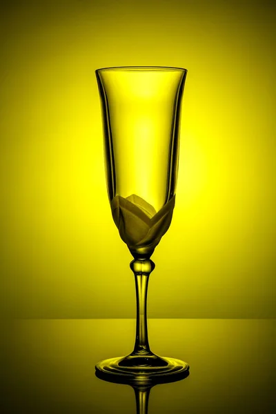Copo de champanhe transparente vazio em uma perna alta fina em backlight amarelo brilhante com reflexão em uma superfície brilhante — Fotografia de Stock