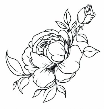 Çiçek açan peonies buket. Çizim mürekkebi doğrusal bir tarzda. Beyaz arka plan üzerinde izole vektör çizim. Siyah ve beyaz renklerde güzel bir dekorasyon.