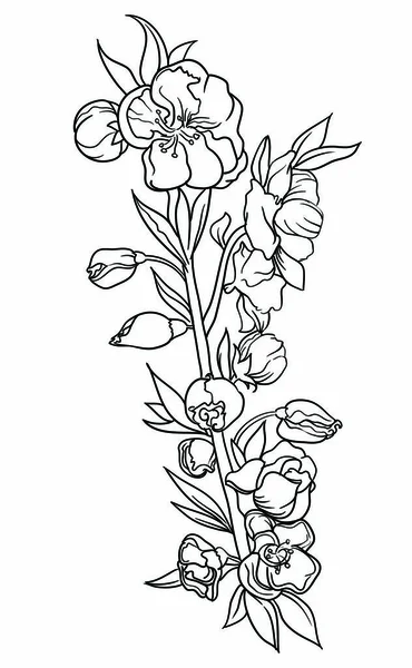 Un ramo de flores decoradas con hojas y hierba. Dibujar tinta en un estilo lineal. Ilustración vectorial aislada sobre fondo blanco.Una hermosa decoración en colores blanco y negro . — Vector de stock