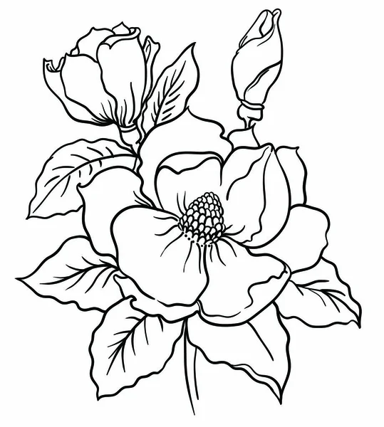 Un ramo de flores decoradas con hojas y hierba. Dibujar tinta en un estilo lineal. Ilustración vectorial aislada sobre fondo blanco. Una hermosa decoración en colores blanco y negro . — Vector de stock