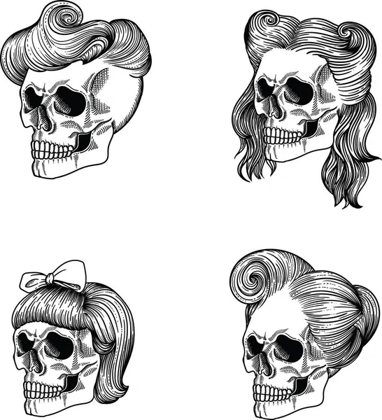 Female skull girl, Female skull lady, Female skull maiden, Female skull lass, Female skull adolescent, Female skull woman, Female skull wife, Female skull old woman ,Female skull  dame. Separate on a white background, hand drawn in vector. Line style — Stock Vector