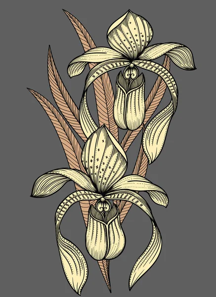 Illustration vectorielle de fleurs avec feuilles.Fleurs très détaillées dans le style croquis Décoration florale élégante pour le design. Tous les éléments de composition sont séparés dans chaque groupe . — Image vectorielle