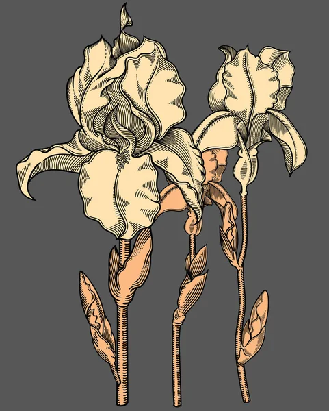 ベクトルの葉と花のイラスト。スケッチ スタイルの非常に詳細な花を。デザインのエレガントな花飾り。構成のすべての要素が各グループに区切られています. — ストックベクタ