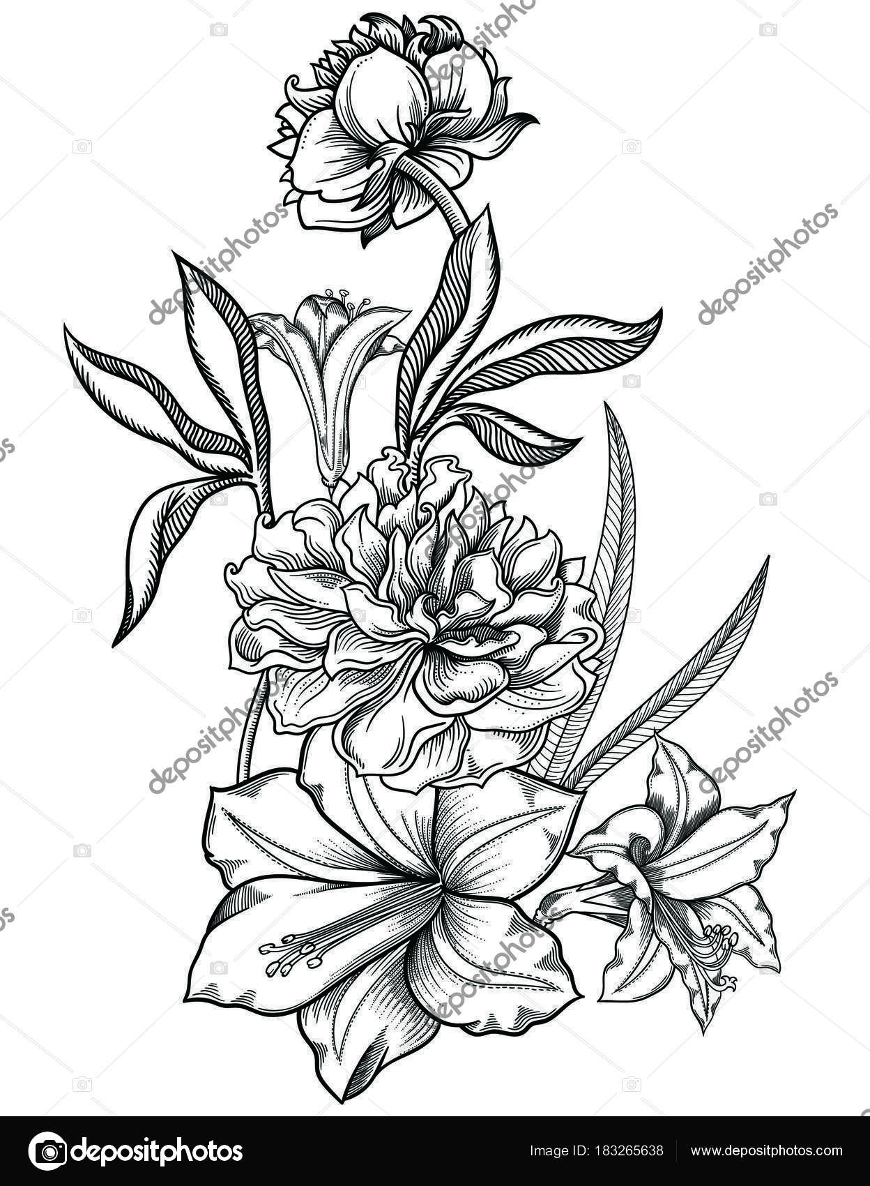 Illustrazione Vettoriale Di Fiori Dettagliati Fiori In