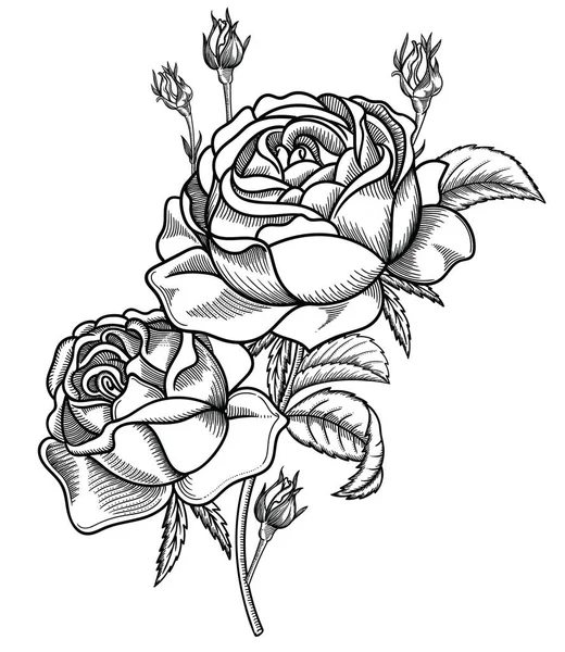 Ilustración vectorial de flores.Flores detalladas en estilo boceto en blanco y negro. Elegante decoración floral para diseño.Los elementos de composición se separan en cada grupo. Aislado sobre fondo blanco — Vector de stock