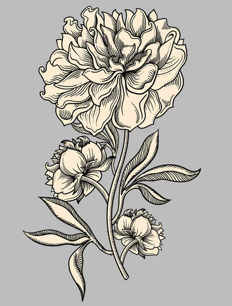 ベクトルは、咲く花のイラストを詳しく説明します。黒のアウトラインをスケッチ スタイルの高品質イラスト。エレガントでロマンティックな図面 — ストックベクタ