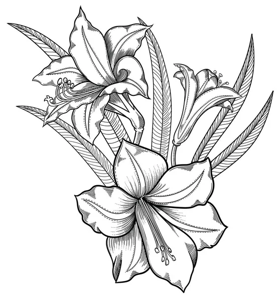 Ilustração vetorial de flores.Flores detalhadas em estilo esboço preto e branco. Elegante decoração floral para design.Elementos de composição são separados em cada grupo. Isolado sobre fundo branco — Vetor de Stock
