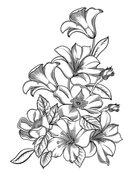 Vector illustration of flowers.Detailed flowers in black and white sketch style. Elegant floral decoration for design.Elements of composition are separated in each group. Isolated on white background