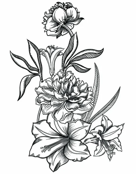 花のベクトル イラスト。白と黒の詳しい花スケッチ スタイルです。デザインのエレガントな花飾り。構成要素は、各グループに区切られています。白い背景に分離 — ストックベクタ