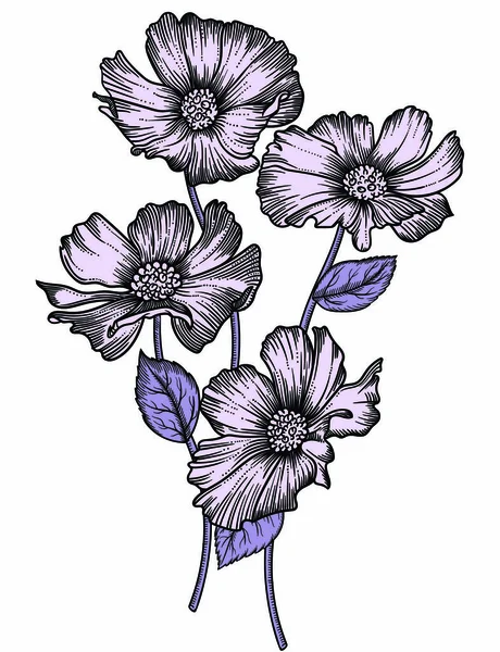 Ilustración vectorial de flores.Flores detalladas en estilo boceto en blanco y negro. Elegante decoración floral para diseño.Los elementos de composición se separan en cada grupo. Aislado sobre fondo blanco — Vector de stock