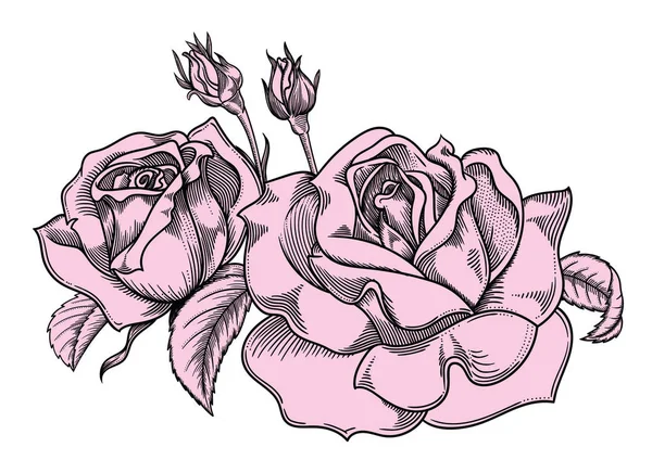 Ilustração detalhada do vetor de flores florescendo. Ilustração de alta qualidade em estilo esboço com contorno preto. Desenho elegante e romântico — Vetor de Stock