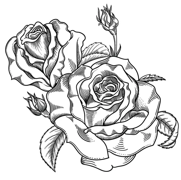 Ilustração vetorial de flores.Flores detalhadas em estilo esboço preto e branco. Elegante decoração floral para design.Elementos de composição são separados em cada grupo. Isolado sobre fundo branco —  Vetores de Stock