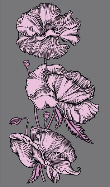 Vector ilustración detallada de flores en flor. Ilustración de alta calidad en estilo de boceto con contorno negro. Dibujo elegante y romántico — Vector de stock
