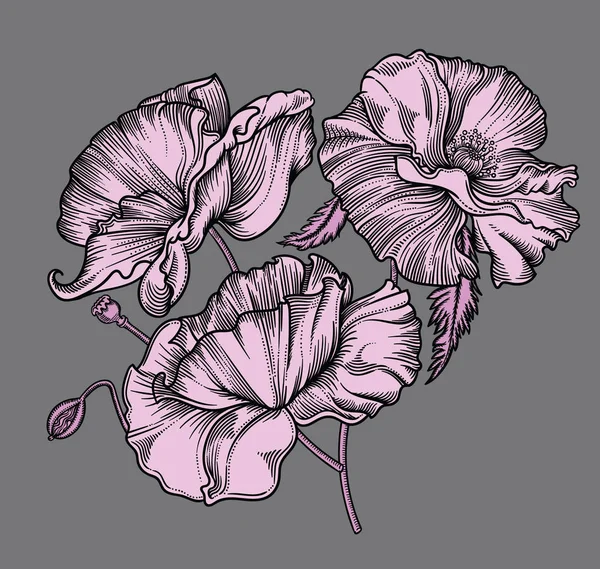 Vector detaljerad illustration av blommande blommor. Hög kvalitet illustration i skiss stil med svart kontur. Elegant och romantisk ritning — Stock vektor