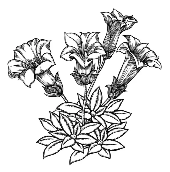 Ilustración vectorial de flores.Flores detalladas en estilo boceto en blanco y negro. Elegante decoración floral para diseño.Los elementos de composición se separan en cada grupo. Aislado sobre fondo blanco — Vector de stock