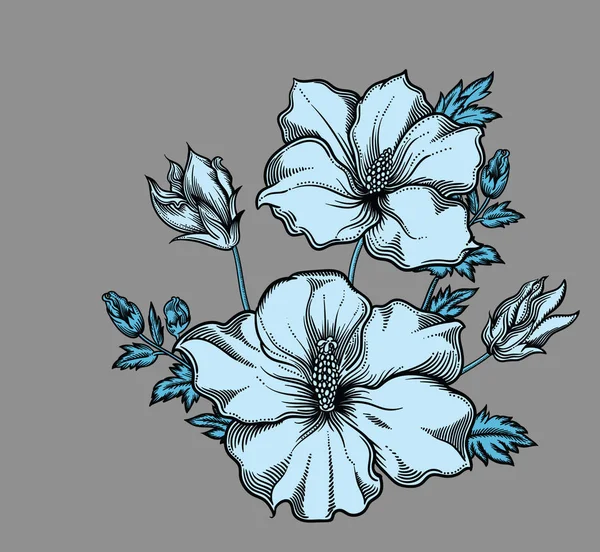 Vector ilustración detallada de flores en flor. Ilustración de alta calidad en estilo de boceto con contorno negro. Dibujo elegante y romántico — Vector de stock