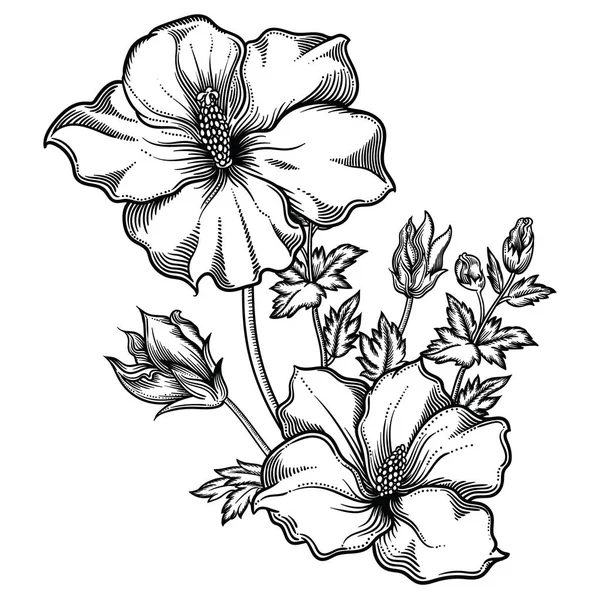 Vektör çizim çiçek. Siyah beyaz detaylı çiçek tarzı kroki. Zarif çiçek dekorasyon tasarım için. Kompozisyon unsurları her gruba ayrılır. Beyaz arka plan üzerinde izole — Stok Vektör